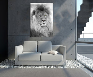 Pine Stretched  Framed 1 Panel - Lion