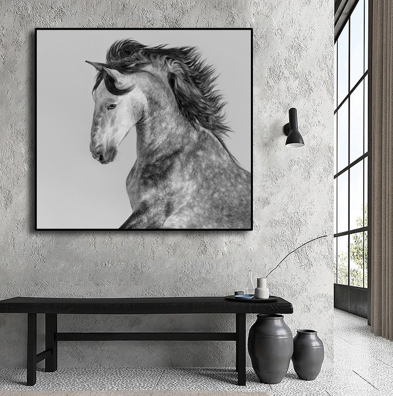 Pine Stretched  Framed 1 Panel - Andalusian Stallion