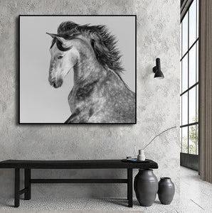 Pine Stretched  Framed 1 Panel - Andalusian Stallion