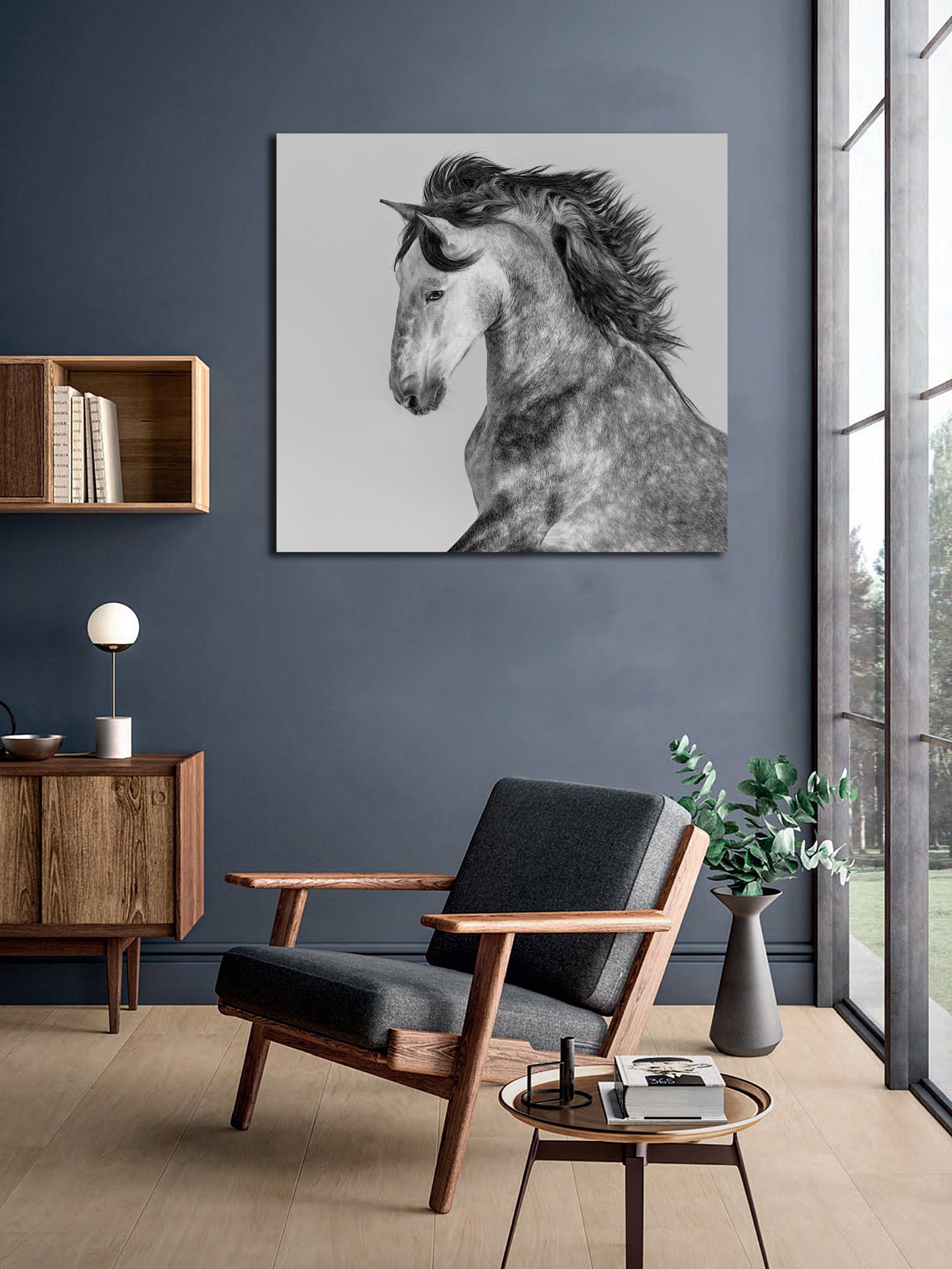 Pine Stretched  Framed 1 Panel - Andalusian Stallion