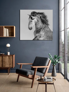 Pine Stretched  Framed 1 Panel - Andalusian Stallion