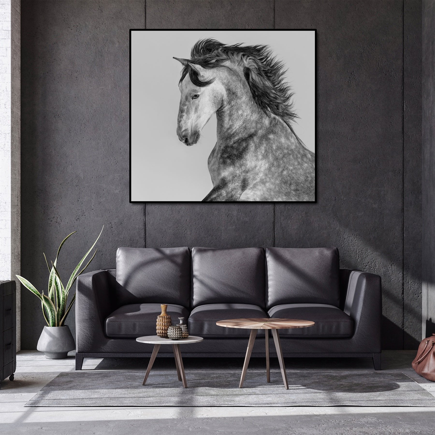 Pine Stretched  Framed 1 Panel - Andalusian Stallion