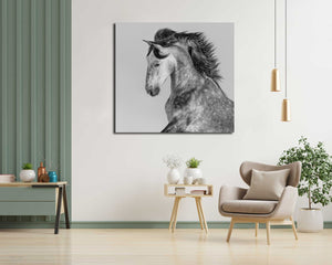 Pine Stretched  Framed 1 Panel - Andalusian Stallion