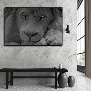 Pine Stretched  Framed 1 Panel - Lion