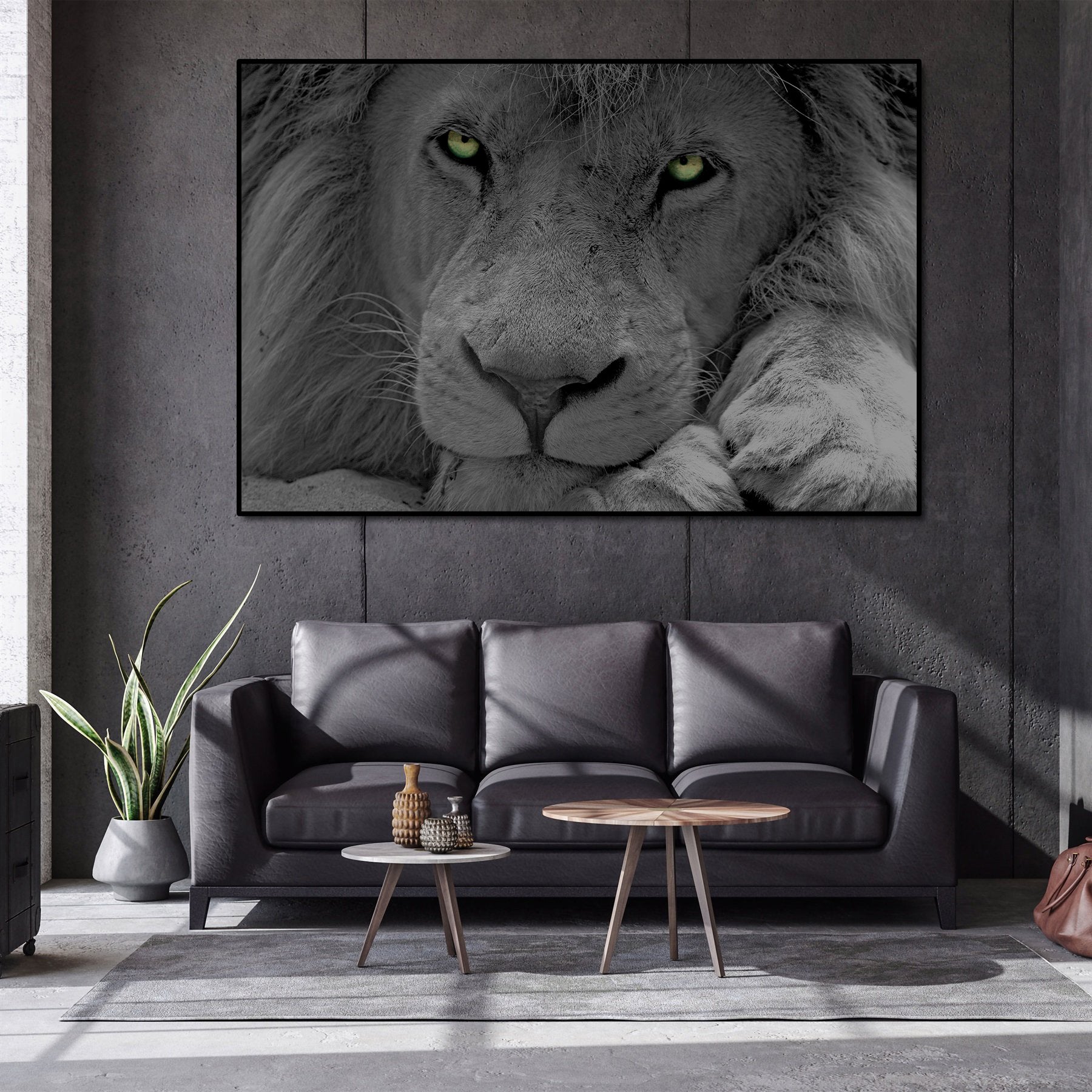 Pine Stretched  Framed 1 Panel - Lion