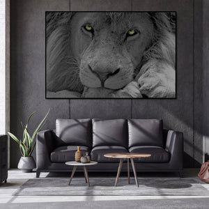 Pine Stretched  Framed 1 Panel - Lion