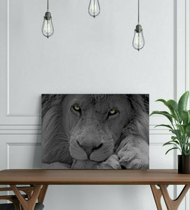 Pine Stretched  Framed 1 Panel - Lion