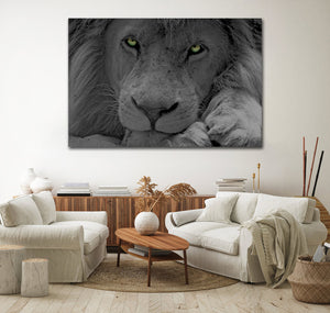 Pine Stretched  Framed 1 Panel - Lion