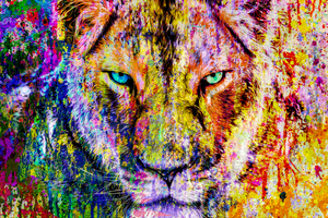 Pine Stretched  Framed 1 Panel - Lion