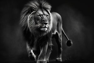 Pine Stretched  Framed 1 Panel - Lion