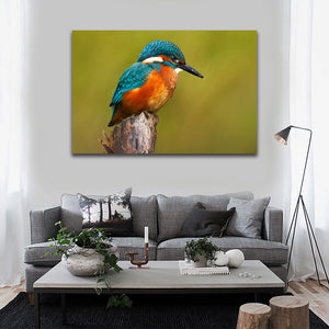 Pine Stretched  Framed 1 Panel -Kingfisher