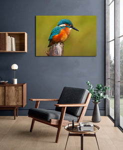 Pine Stretched  Framed 1 Panel -Kingfisher