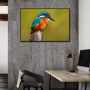 Pine Stretched  Framed 1 Panel -Kingfisher