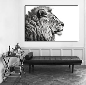 Pine Stretched  Framed 1 Panel - Lion