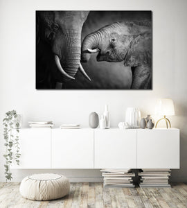 Framed 1 Panel - Elephant Affection