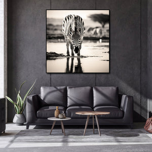 Pine Stretched  Framed 1 Panel - Zebra