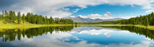 Pine Stretched  Framed 1 Panel - Mountain Lake