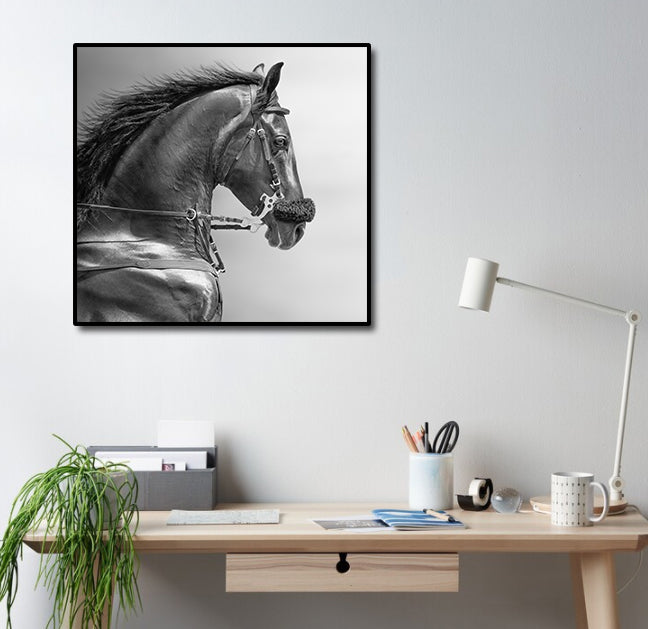 Pine Stretched  Framed 1 Panel - Portrait of a Sports Stallion
