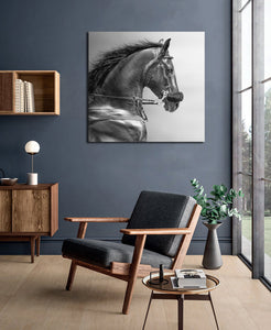 Pine Stretched  Framed 1 Panel - Portrait of a Sports Stallion