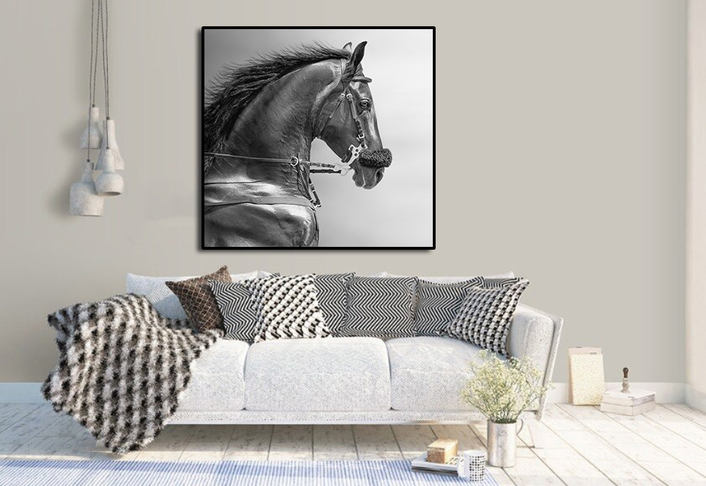 Pine Stretched  Framed 1 Panel - Portrait of a Sports Stallion