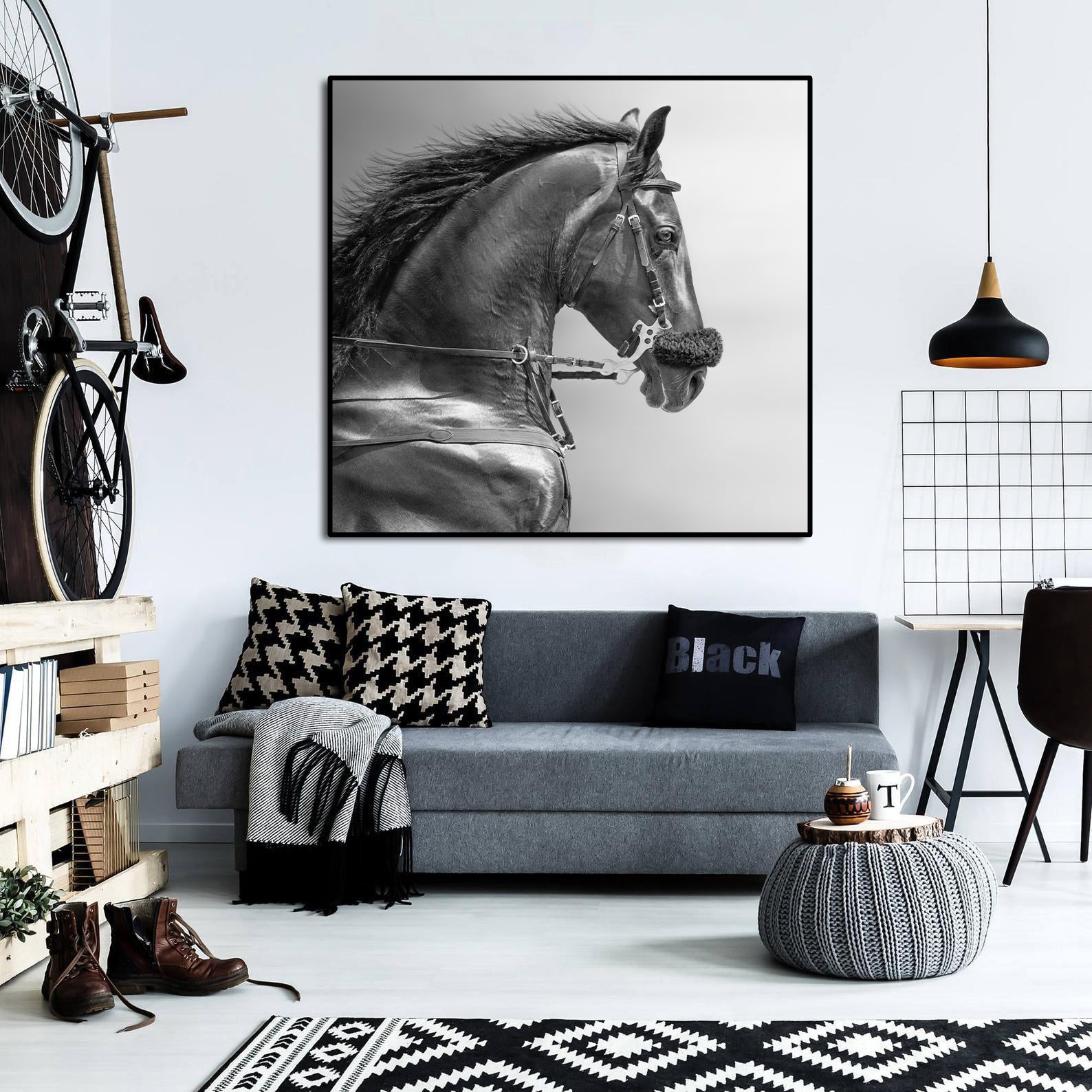Pine Stretched  Framed 1 Panel - Portrait of a Sports Stallion