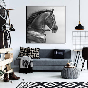 Pine Stretched  Framed 1 Panel - Portrait of a Sports Stallion
