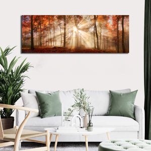 Pine Stretched  Framed 1 Panel - Rays of Sunlight in a Misty Autumn Forest