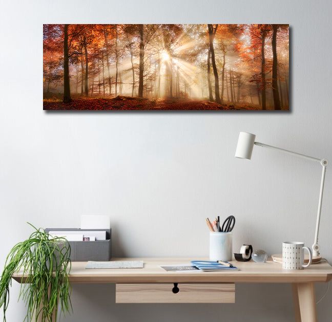 Pine Stretched  Framed 1 Panel - Rays of Sunlight in a Misty Autumn Forest