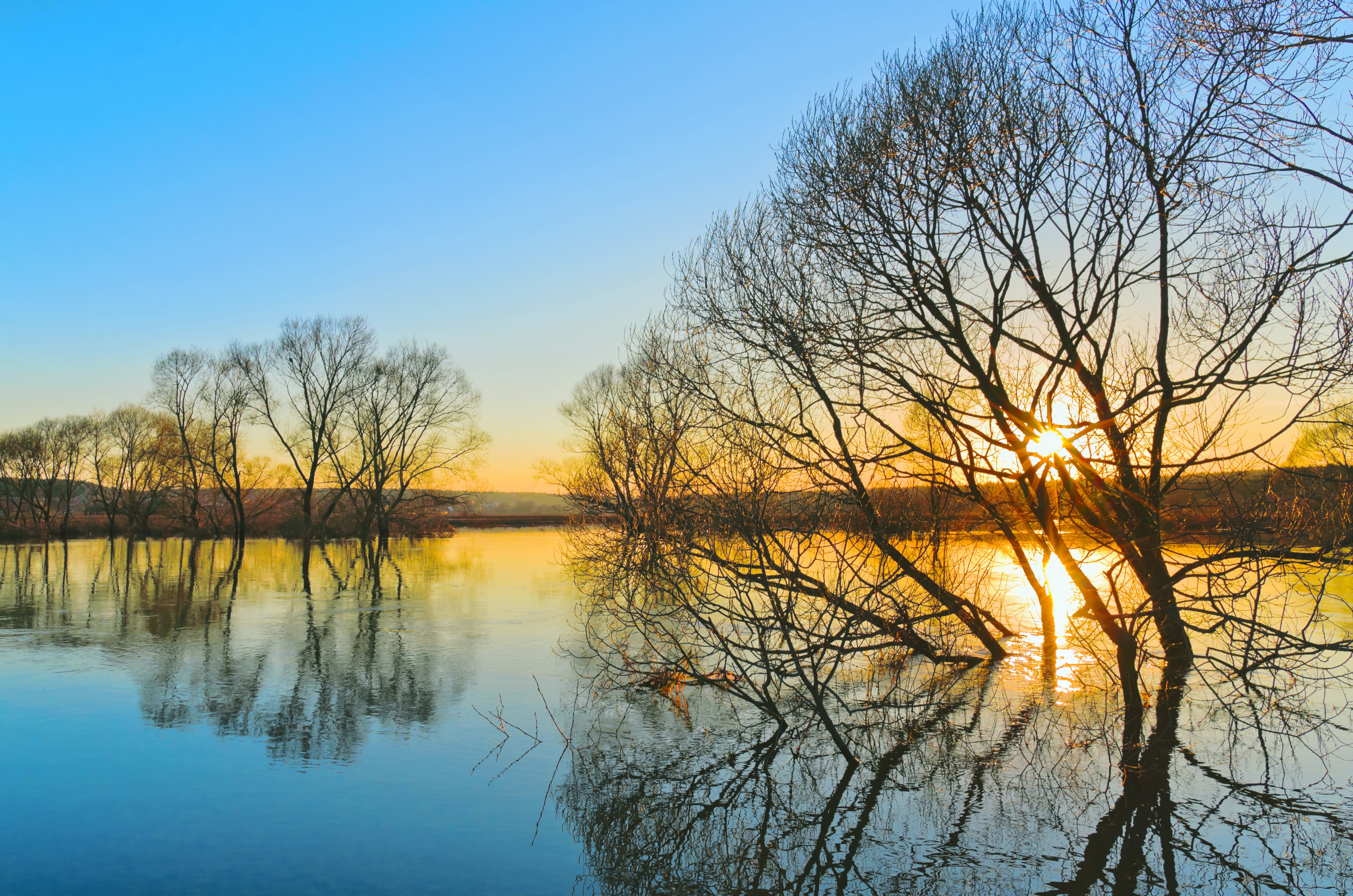 Pine Stretched  Framed 1 Panel - Spring Sunset