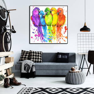 Framed 1 Panel - Colorful Parrots