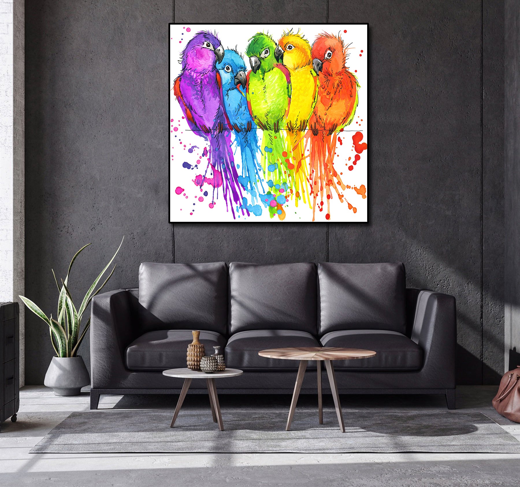 Framed 1 Panel - Colorful Parrots