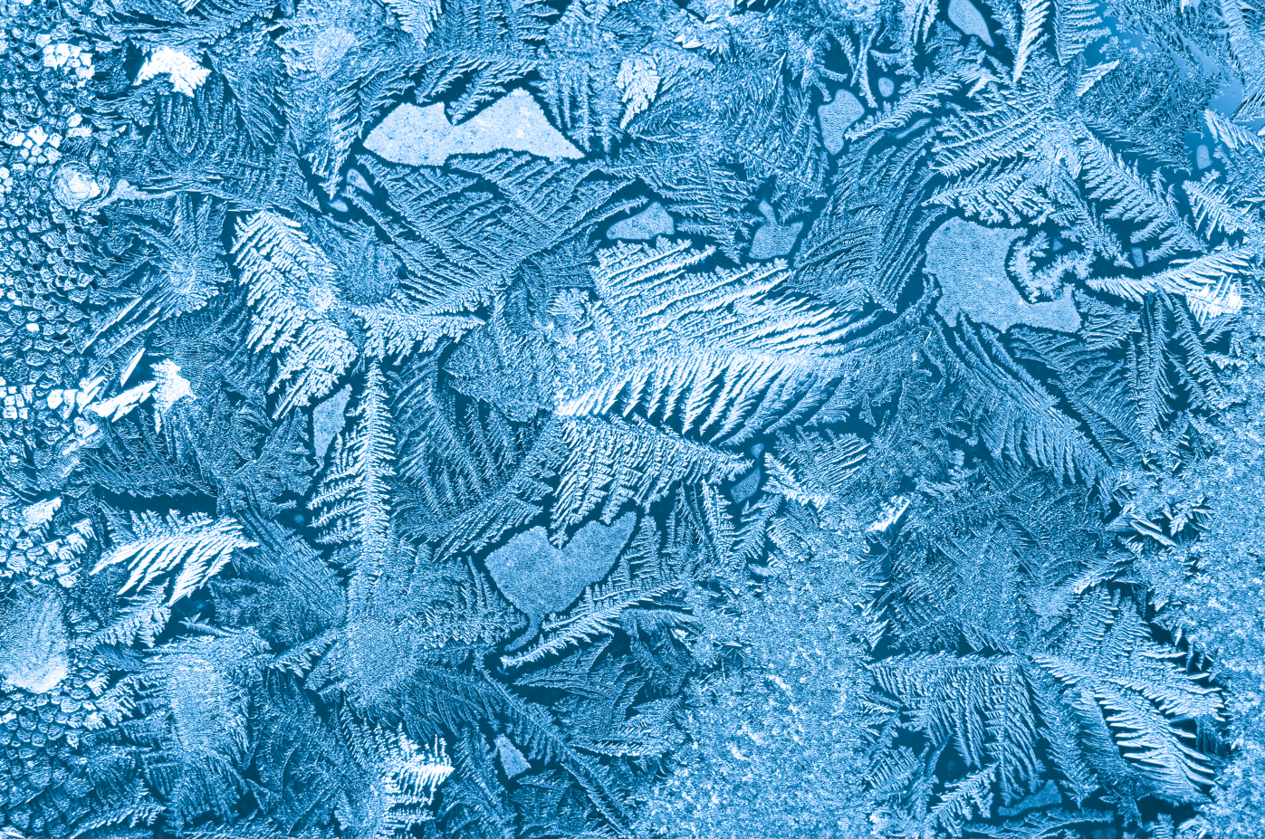 Pine Stretched  Framed 1 Panel - Ice Patterns