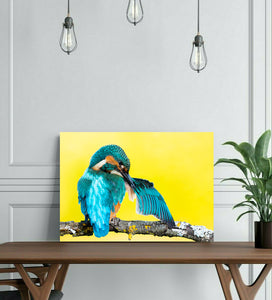 Pine Stretched  Framed 1 Panel - Kingfisher