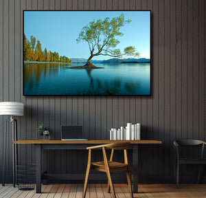 Framed 1 Panel - Lake Wanaka