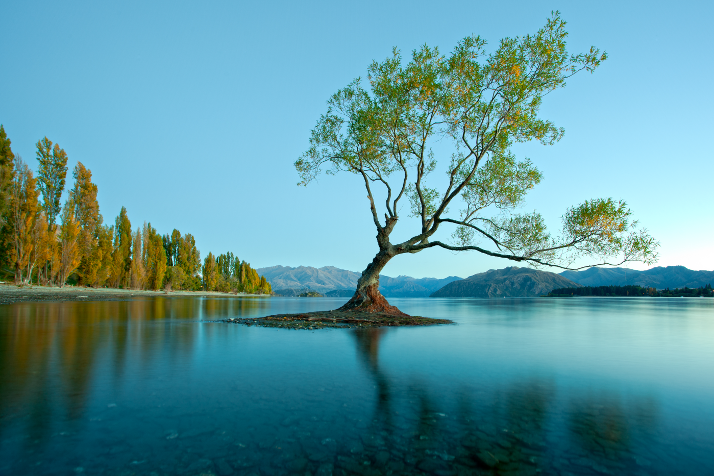 Framed 1 Panel - Lake Wanaka