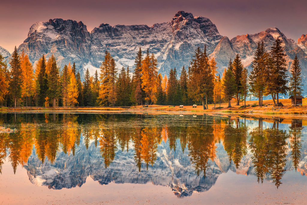 Pine Stretched  Framed 1 Panel - Magical Alpine Lake in Dolomites Mountains