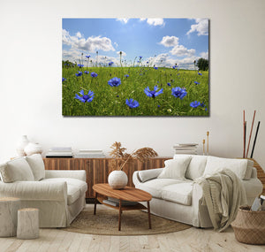 Pine Stretched  Framed 1 Panel - Meadow with corn flowers