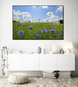 Pine Stretched  Framed 1 Panel - Meadow with corn flowers