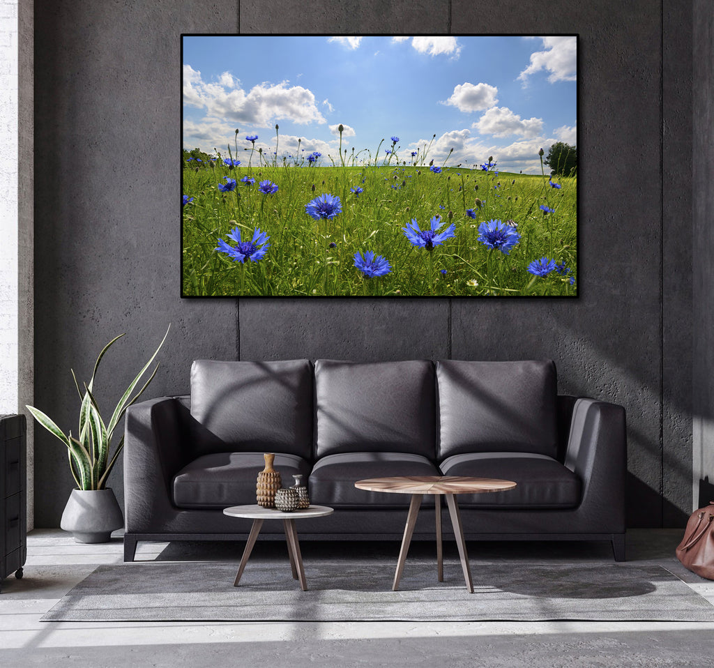 Pine Stretched  Framed 1 Panel - Meadow with corn flowers