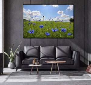 Framed 1 Panel - Meadow with corn flowers