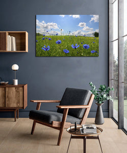 Framed 1 Panel - Meadow with corn flowers