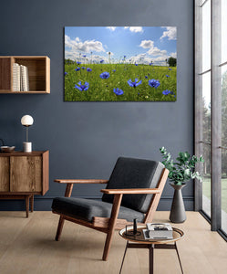 Pine Stretched  Framed 1 Panel - Meadow with corn flowers