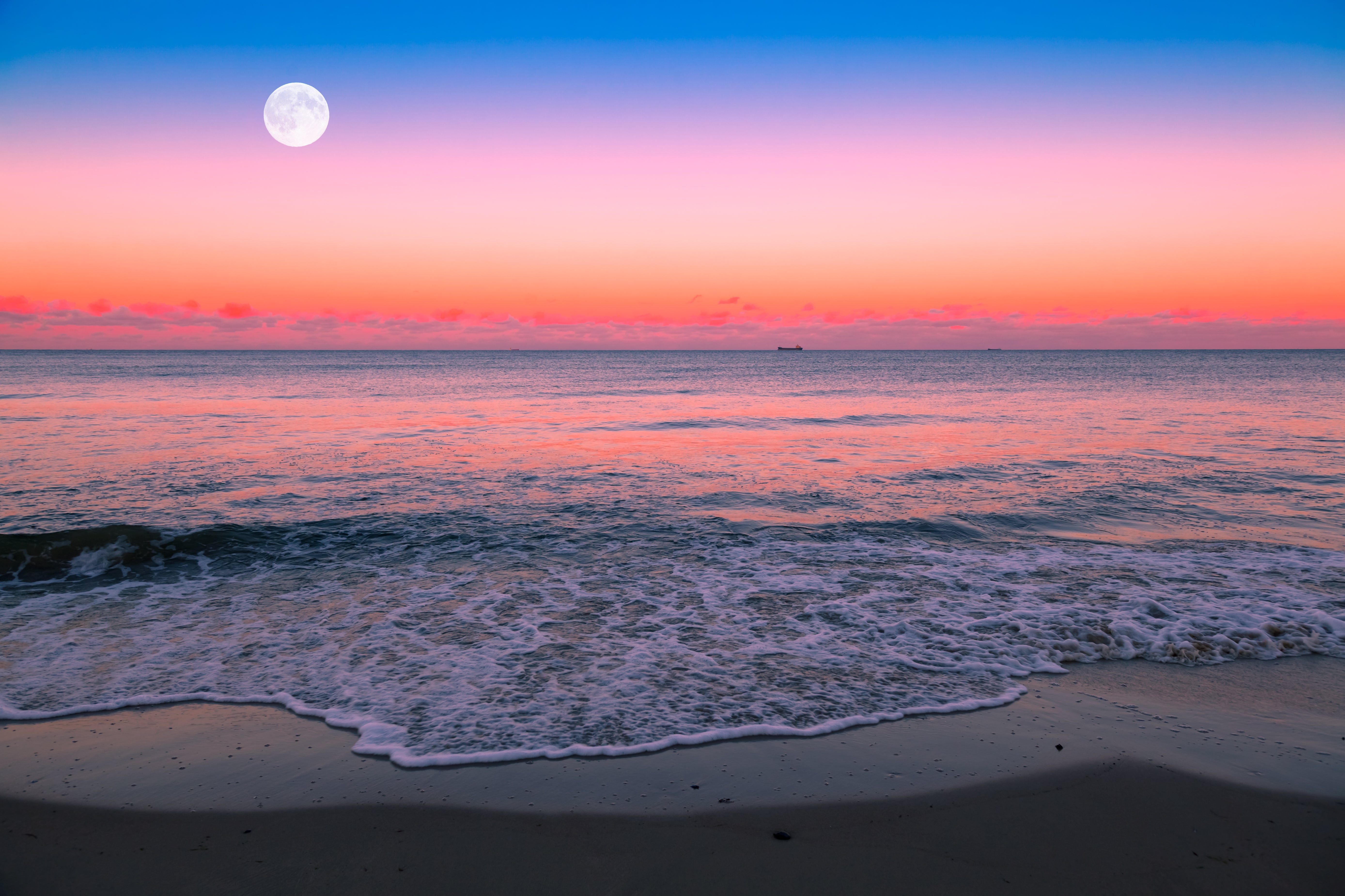 Pine Stretched  Framed 1 Panel - Moonrise