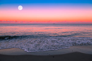 Pine Stretched  Framed 1 Panel - Moonrise