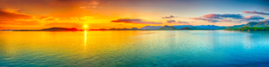 Pine Stretched  Framed 1 Panel - Sunset Panorama