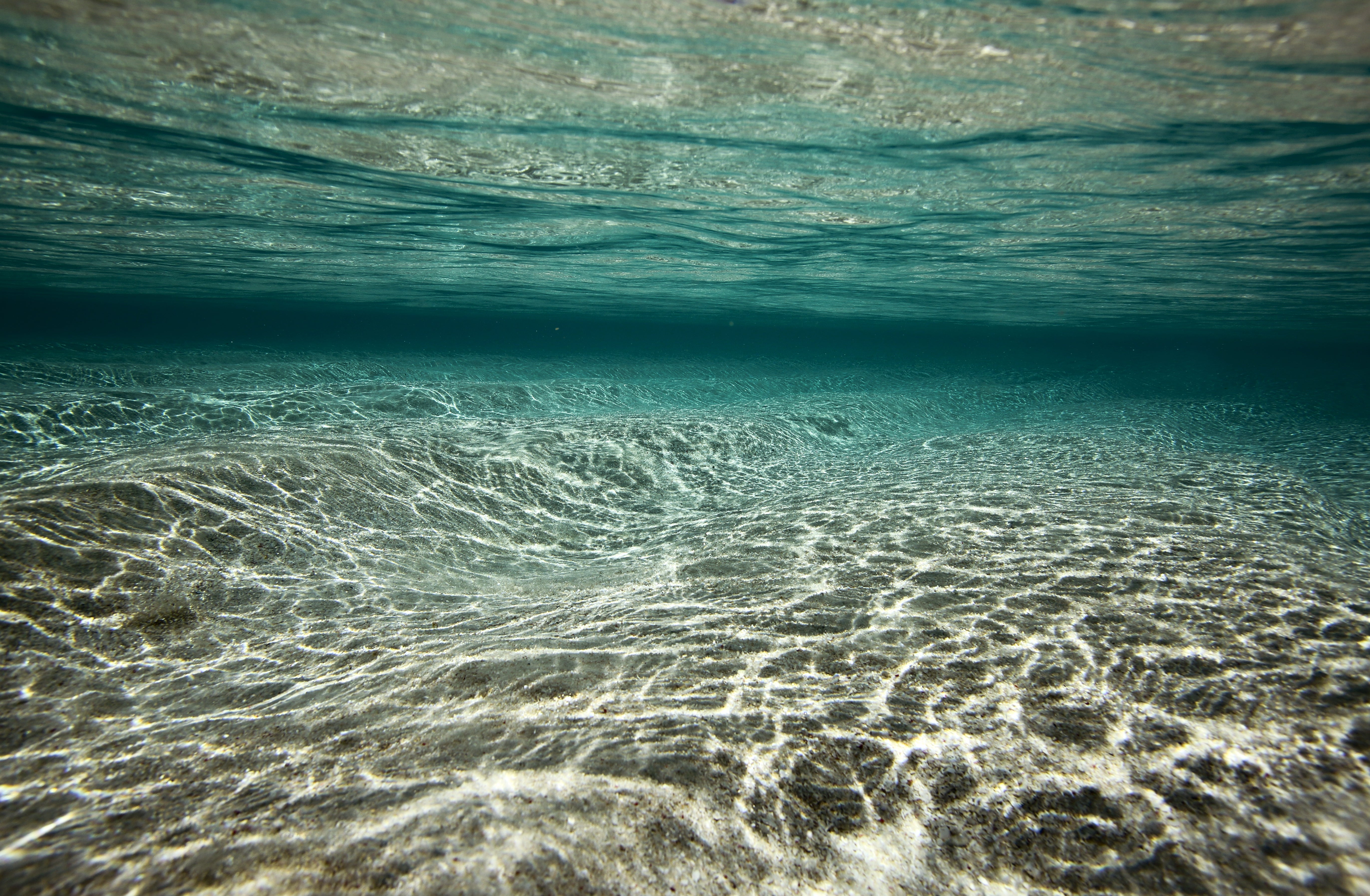 Pine Stretched  Framed 1 Panel - Tropical Beach Under Water