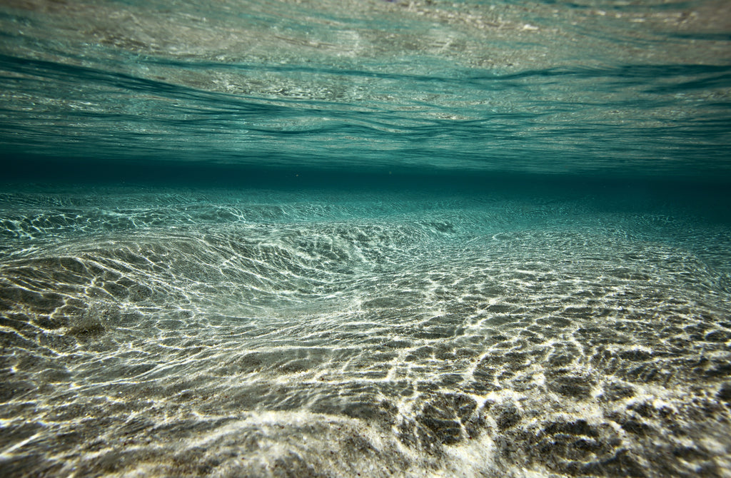 Pine Stretched  Framed 1 Panel - Tropical Beach Under Water