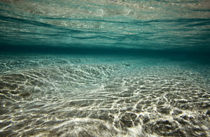 Pine Stretched  Framed 1 Panel - Tropical Beach Under Water