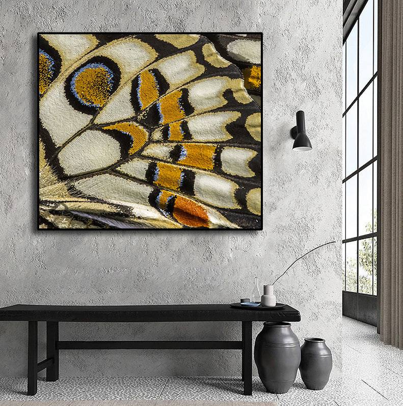 Pine Stretched  Framed 1 Panel - Wing Patterns of Lime Butterfly