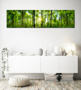 Pine Stretched  Framed 1 Panel - Extra Wide Woodlands Panorama with Rays of Sunlight
